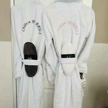 公寓 Verriere Du Chateau Burrus Sainte-Croix-aux-Mines