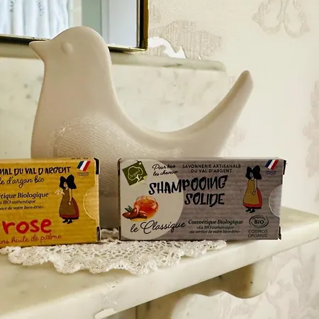 Verriere Du Chateau Burrus Апартаменты Sainte-Croix-aux-Mines