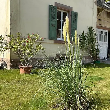 Verriere Du Chateau Burrus *