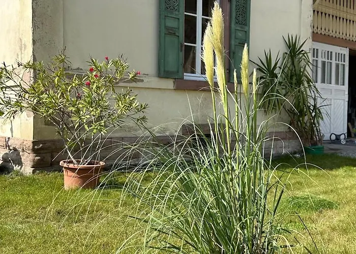 Verriere Du Chateau Burrus *